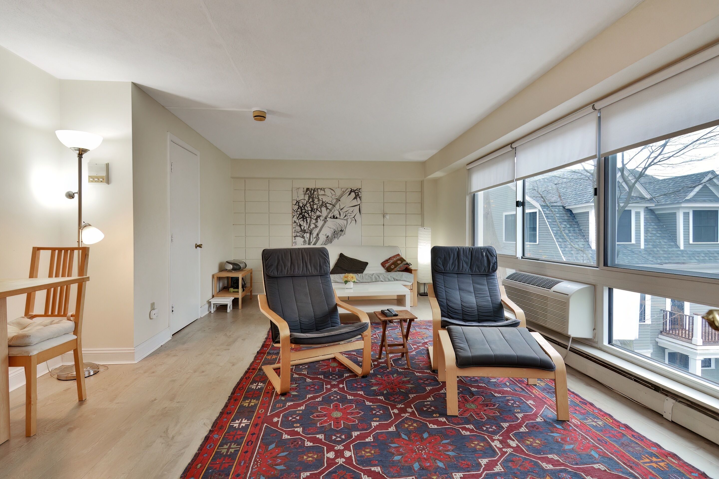 Televisión, reproductor de DVD y libros 