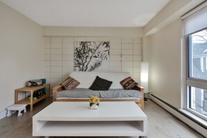 TV, DVD player, books