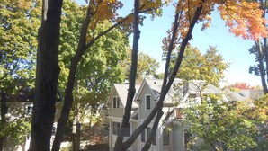 A two-story house with a gabled roof, surrounded by trees with autumn foliage. - Harvard Square! (Cambridge)