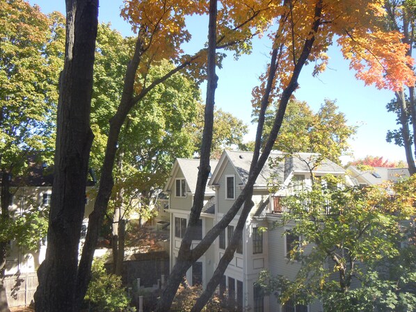 A two-story house with a gabled roof, surrounded by trees with autumn foliage. - Harvard Square! (Cambridge)