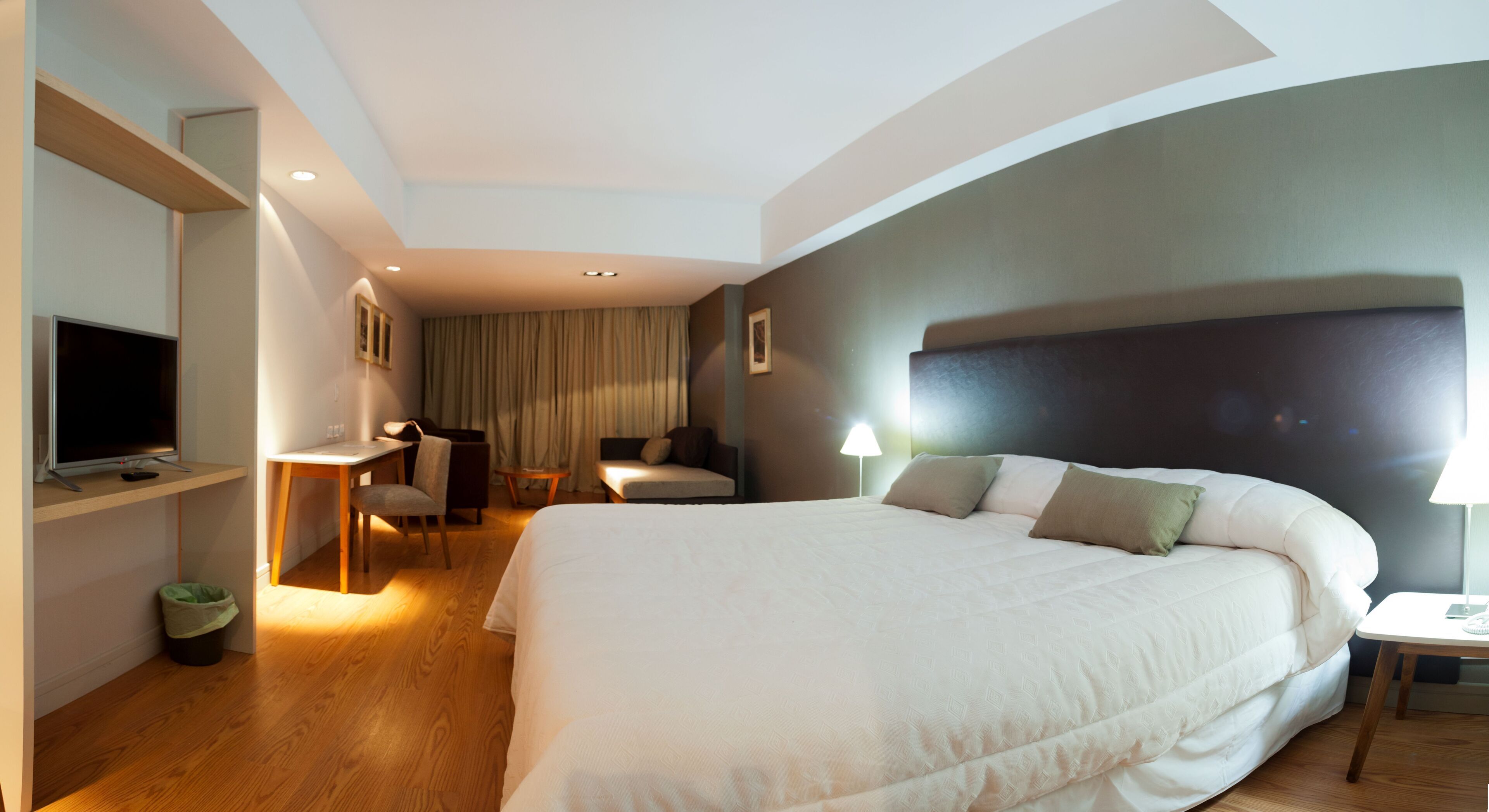 Executive Single Room, 1 King Bed, Mountain View