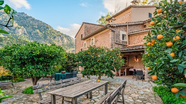 Ein gepflasterter Innenhof mit Holzbank, Tisch und Stühlen, umgeben von üppigem Grün und Orangenbäumen.