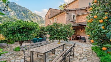A stone-paved courtyard with wooden benches, a table, and chairs, surrounded by lush greenery and orange trees.