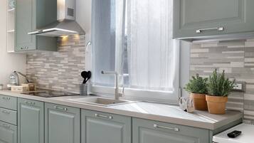 KĂŒhlschrank, Mikrowelle, Herdplatte, GeschirrspĂŒler