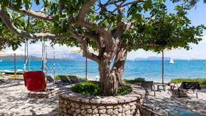 Ein Baum in einem Steintopf, Außenbereich mit Sitzgelegenheiten und Meerblick mit Segelbooten.