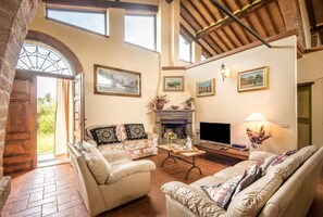 Televisión, chimenea y reproductor de DVD 