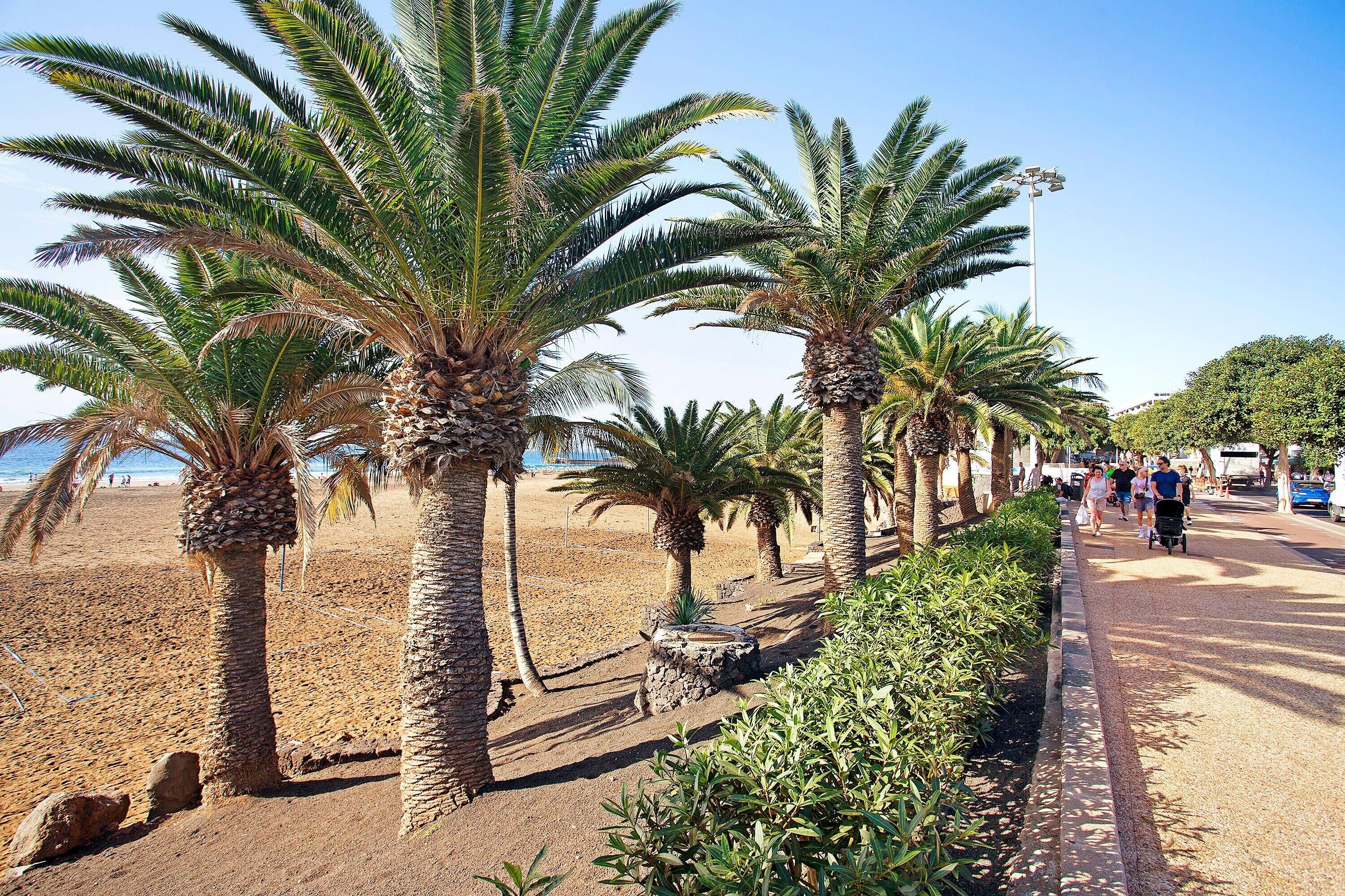 Strand