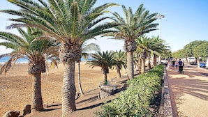 Ein Uferweg gesäumt von Palmen, mit einem Sandstrand im Hintergrund.