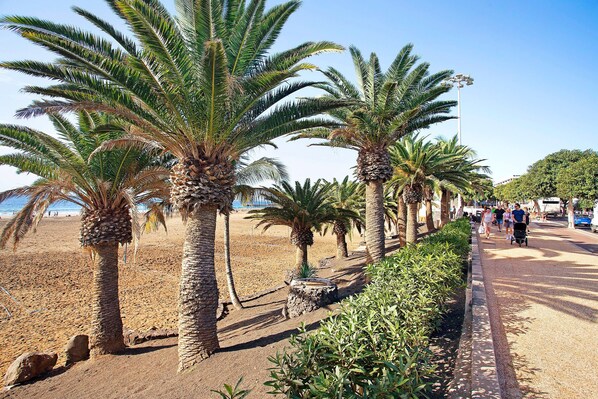 Une promenade en bord de mer, bordée de palmiers, avec une plage de sable en arrière-plan.