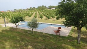 Pool - Villa "Domus Nirale" with Pool, Terrace & Wi-Fi (Bagnoregio)