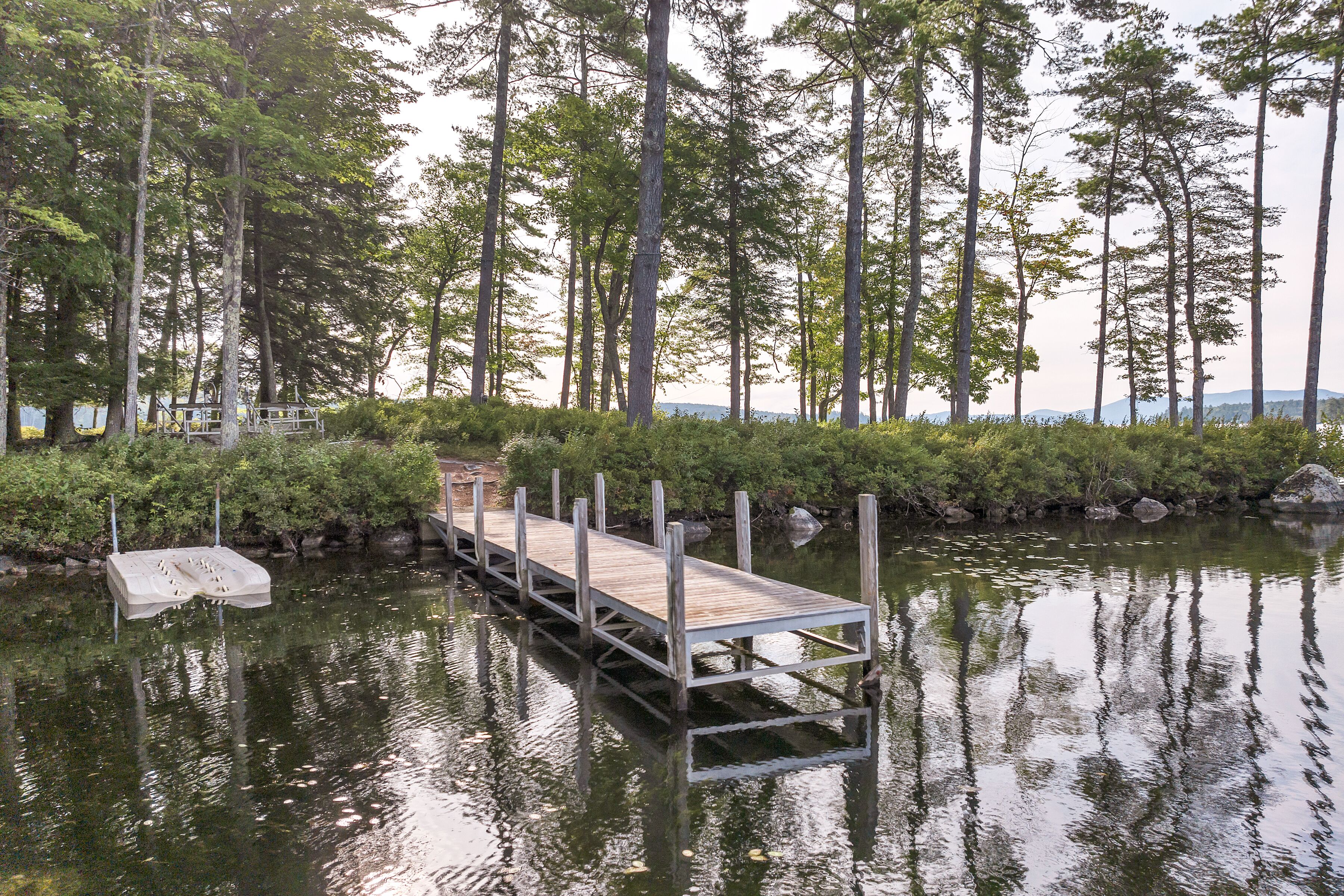 A wooden dock extending into a calm body of water, surrounded by tall trees and dense foliage.
