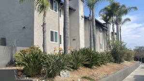 Un edificio moderno con fachada de concreto, múltiples ventanas y una zona ajardinada con palmeras y plantas ornamentales.