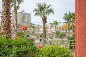 Property grounds - Riverfront Condo w/beach, boat launch, pool & spa (Bullhead City)