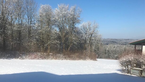 Schneebedeckte Landschaft mit Bäumen und einem Gebäude.