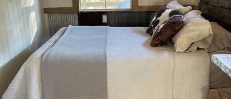 1 quarto, ferros/tábuas de passar roupa, Wi-Fi de cortesia