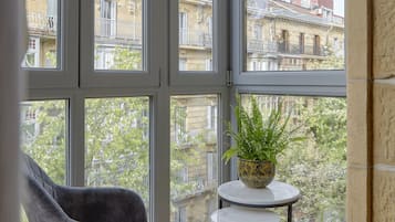 Superior Double or Twin Room, City View | View from room