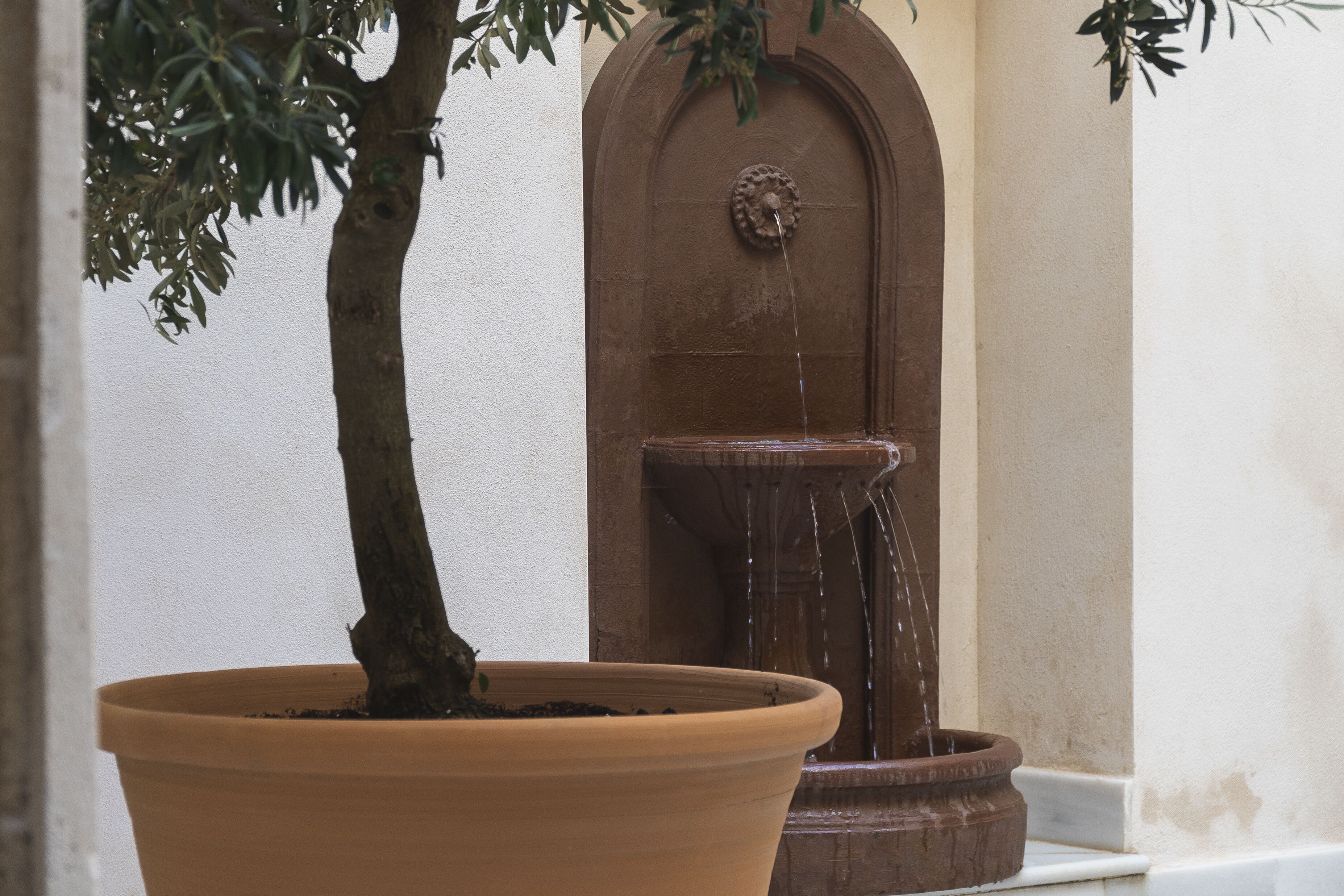 Foto - Casa Palacio Sur