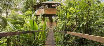 SpectacularJungle Canopy Treehouse