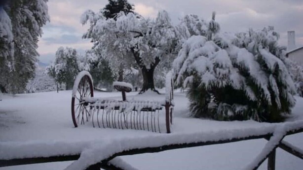 A snow-covered outdoor area with a wooden fence, a bench, and trees. - BELOVED MEADOW VILLA (Lazio)