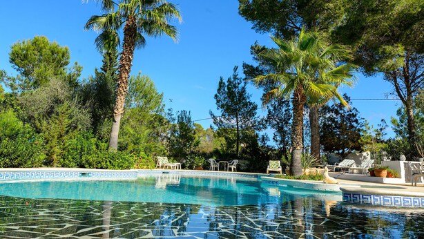 A swimming pool with a tiled edge, surrounded by palm trees and other greenery. - Villa Can Sarrio - San Carlos (Santa Eulària des Riu)