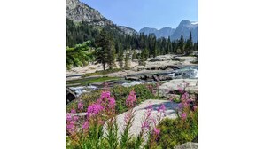 A mountainous landscape with a river, rocky terrain, and dense forest.