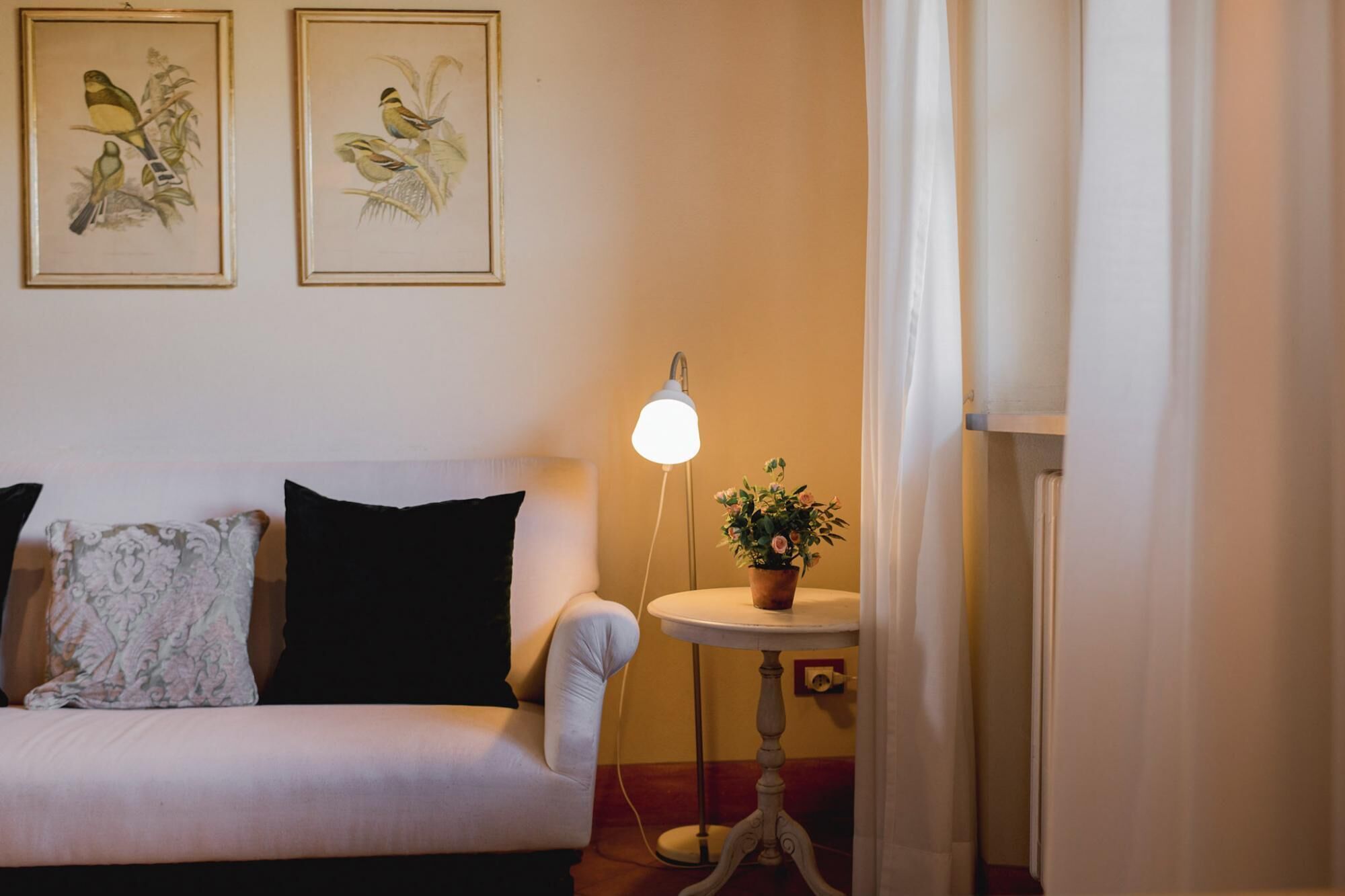 A room with a white sofa, two framed bird paintings on the wall, a bedside lamp, and a small table with a flower vase.