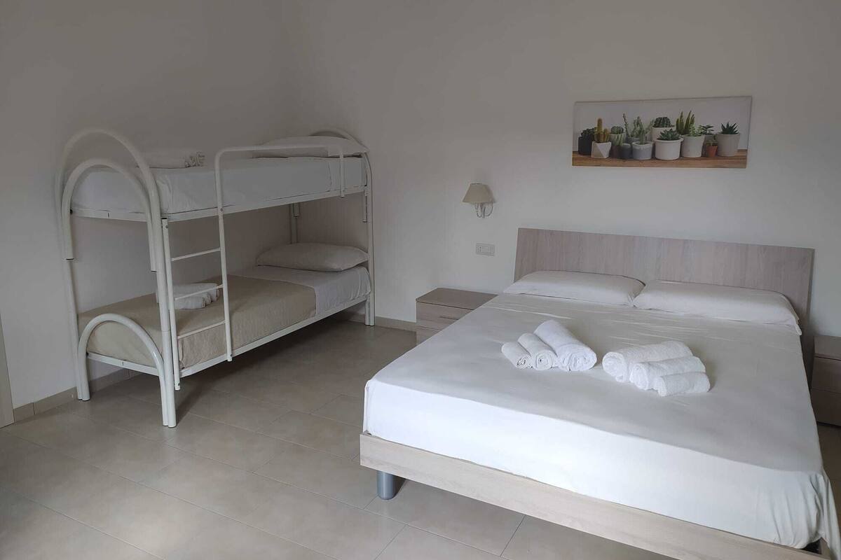 A room with a bunk bed, a single bed, and a wall-mounted shelf with potted plants.
