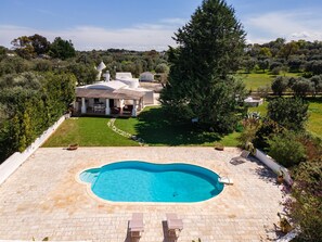 A swimming pool with a patio area, surrounded by a well-maintained lawn and trees.