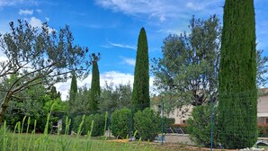 Un jardin bien entretenu, avec de grands arbres élancés et une pelouse verdoyante au premier plan.