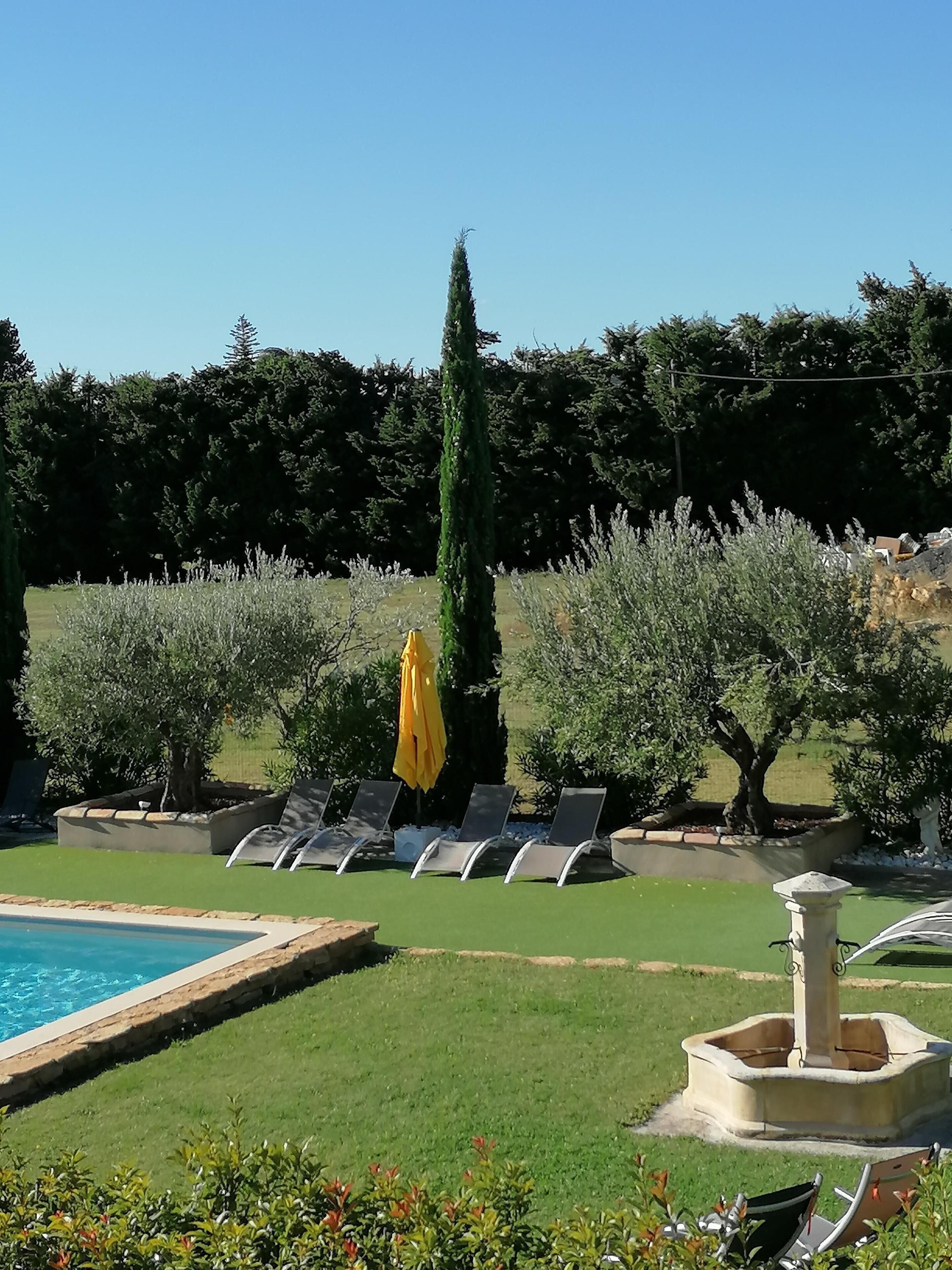 A pool area with lounge chairs and a yellow umbrella, surrounded by greenery and trees.