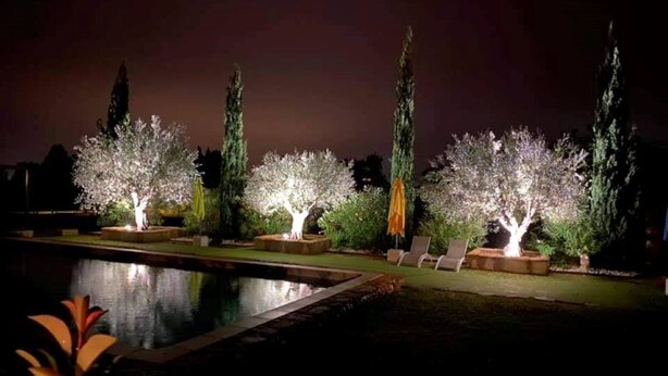 Un espace extérieur aménagé pour la nuit, avec une piscine, des arbres illuminés et des chaises longues.