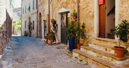 Alysha's Home : The 4 Senses Experience