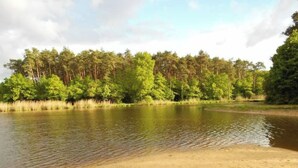 A natural landscape with a sandy beach and a forested area in the background.