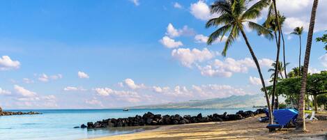 A beach with palm trees, a rocky shoreline, and a clear blue sky.