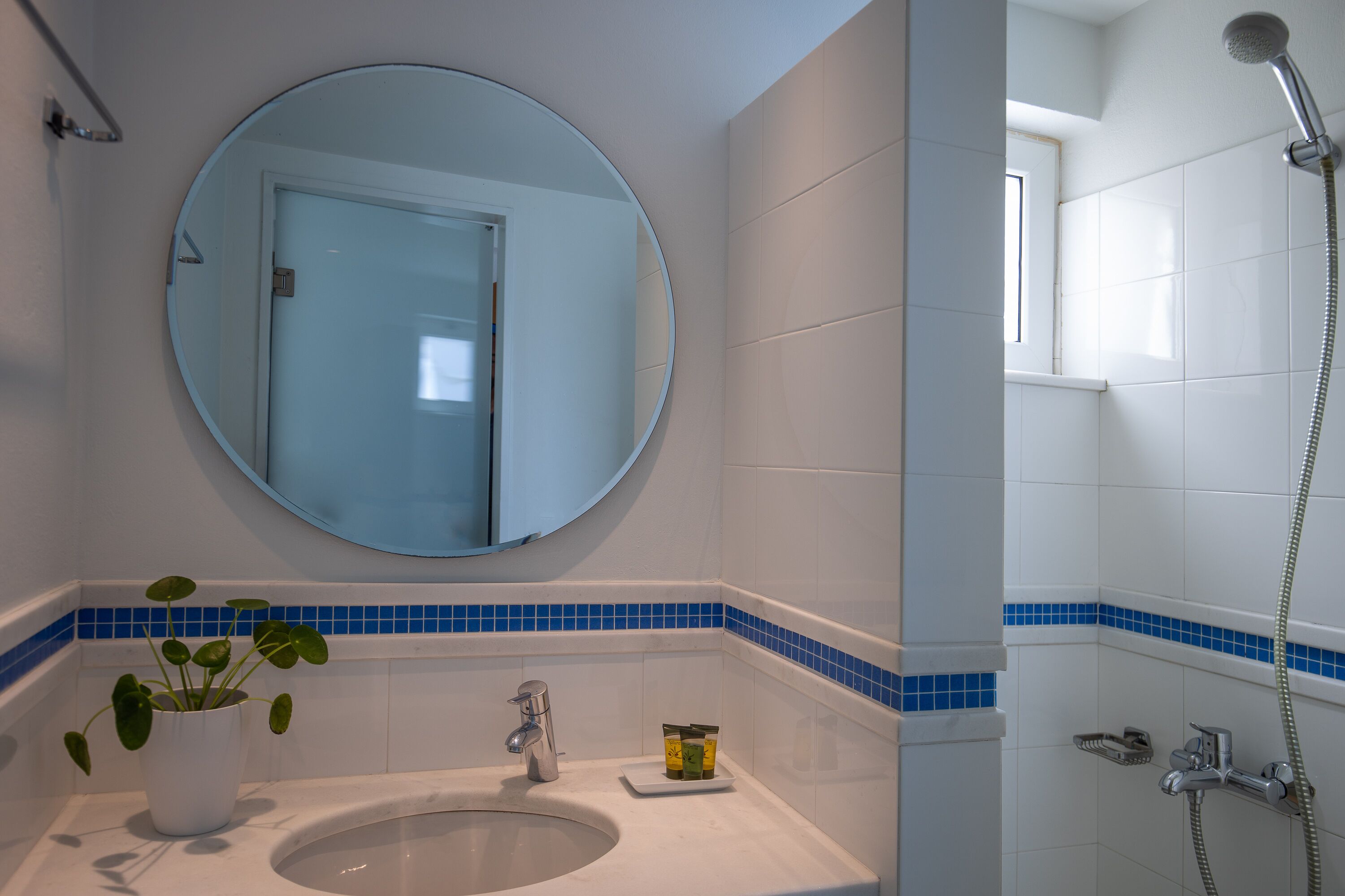 Un baño con lavamanos, espejo, planta en maceta y ducha.
