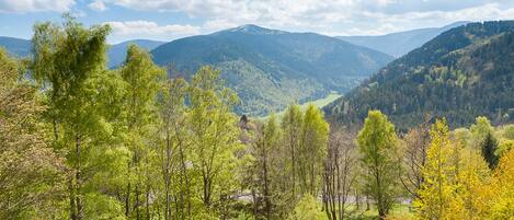 A mountainous landscape with a valley and forested area.