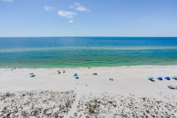 On the beach - Sandy Key 811- 8th floor -Beachfront view -NO HASSLE CHECK OUT (Pensacola)