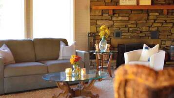 Smart TV, fireplace, books