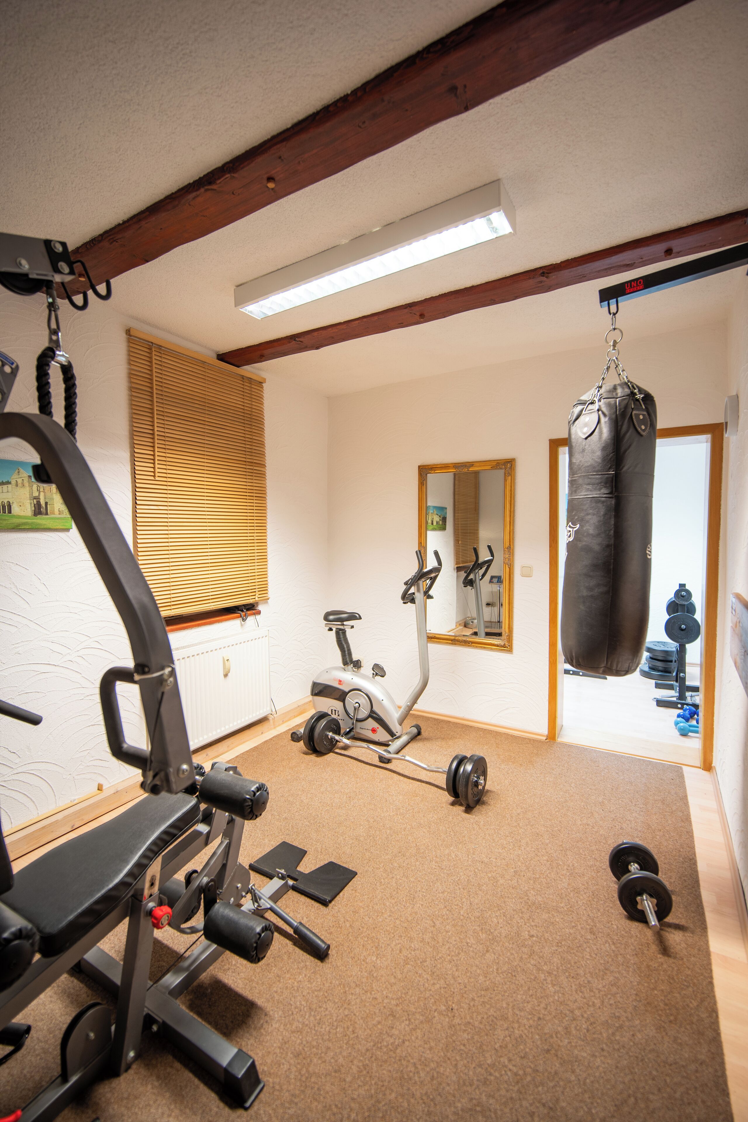 A home gym with exercise equipment, a punching bag, and a mirror.