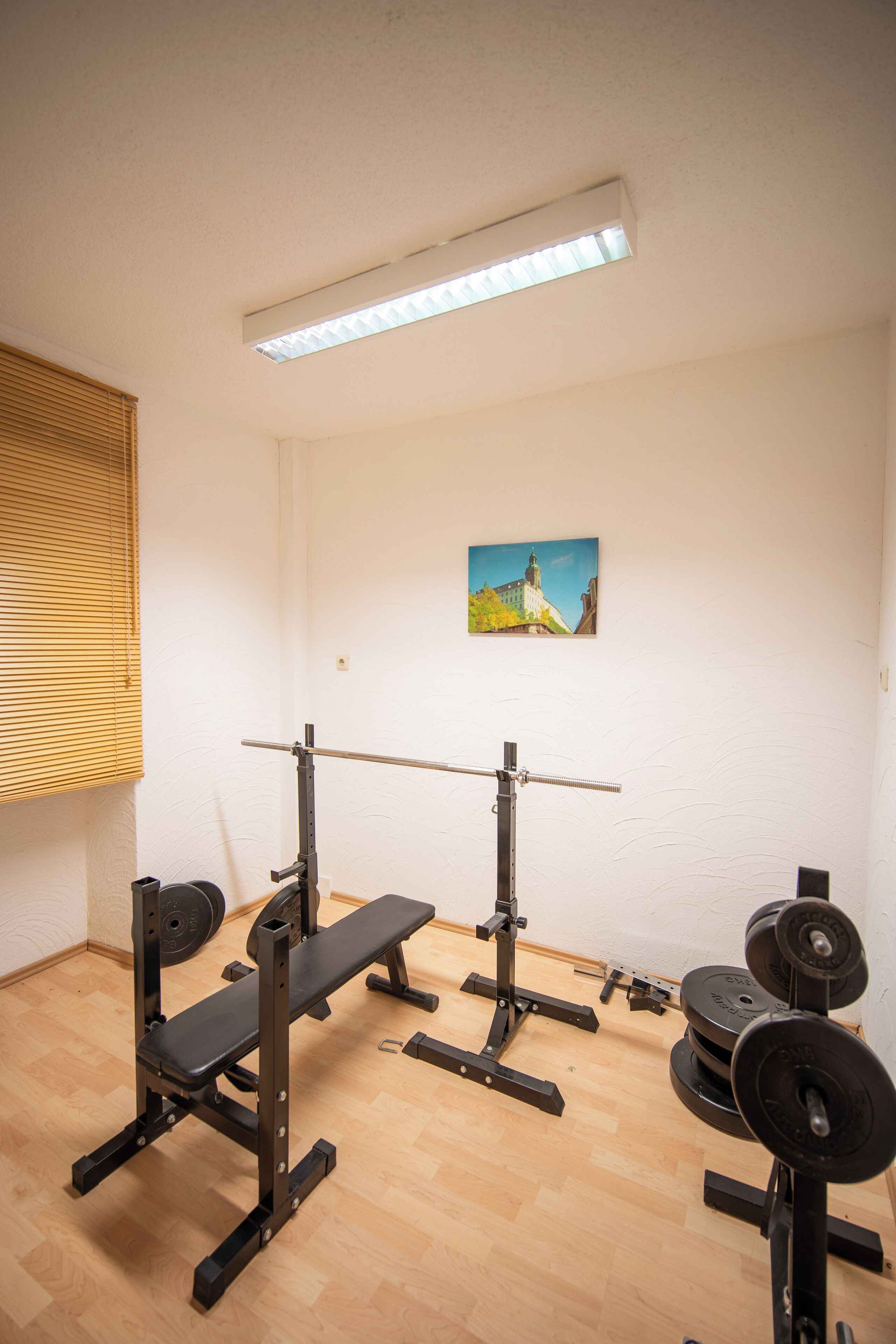 A gym with a bench press, squat rack, and weight plates.