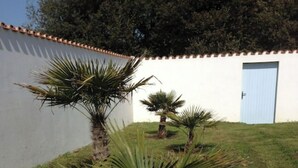 A small palm tree in a grassy area with a white wall and a blue door in the background. - LES MIMOSAS (Saint-Pierre-d'Oléron)