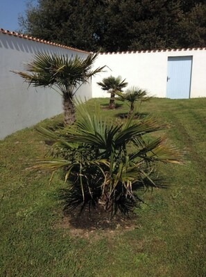 Property grounds - LES MIMOSAS (Saint-Pierre-d'Oléron)