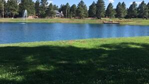 Un lago tranquilo con una fuente, rodeado de exuberante césped verde y árboles.