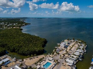 An aerial view of a coastal resort with a swimming pool, beach area, and dense forest.