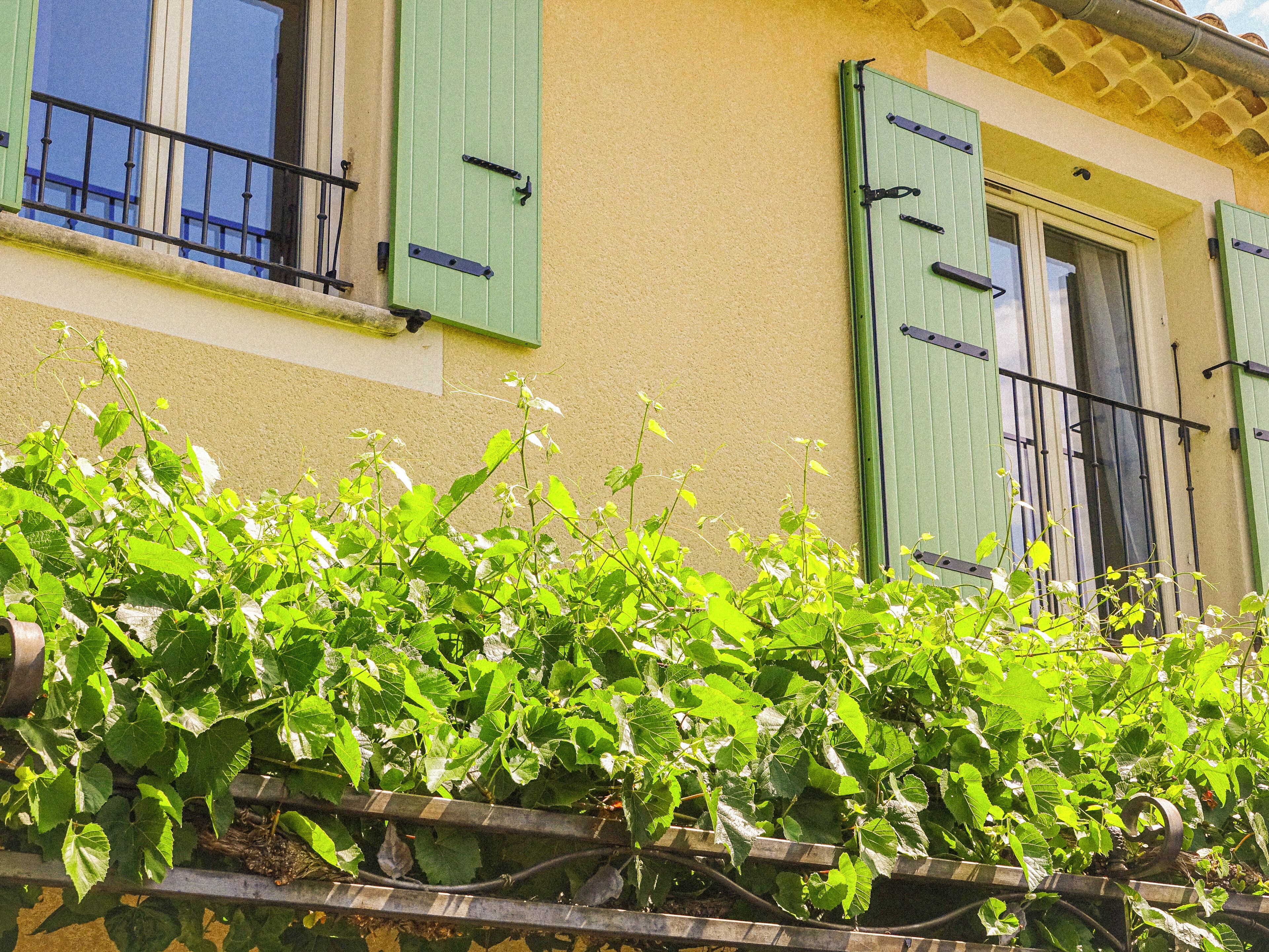 Un bâtiment avec des volets verts, un balcon et un mur recouvert de vigne.