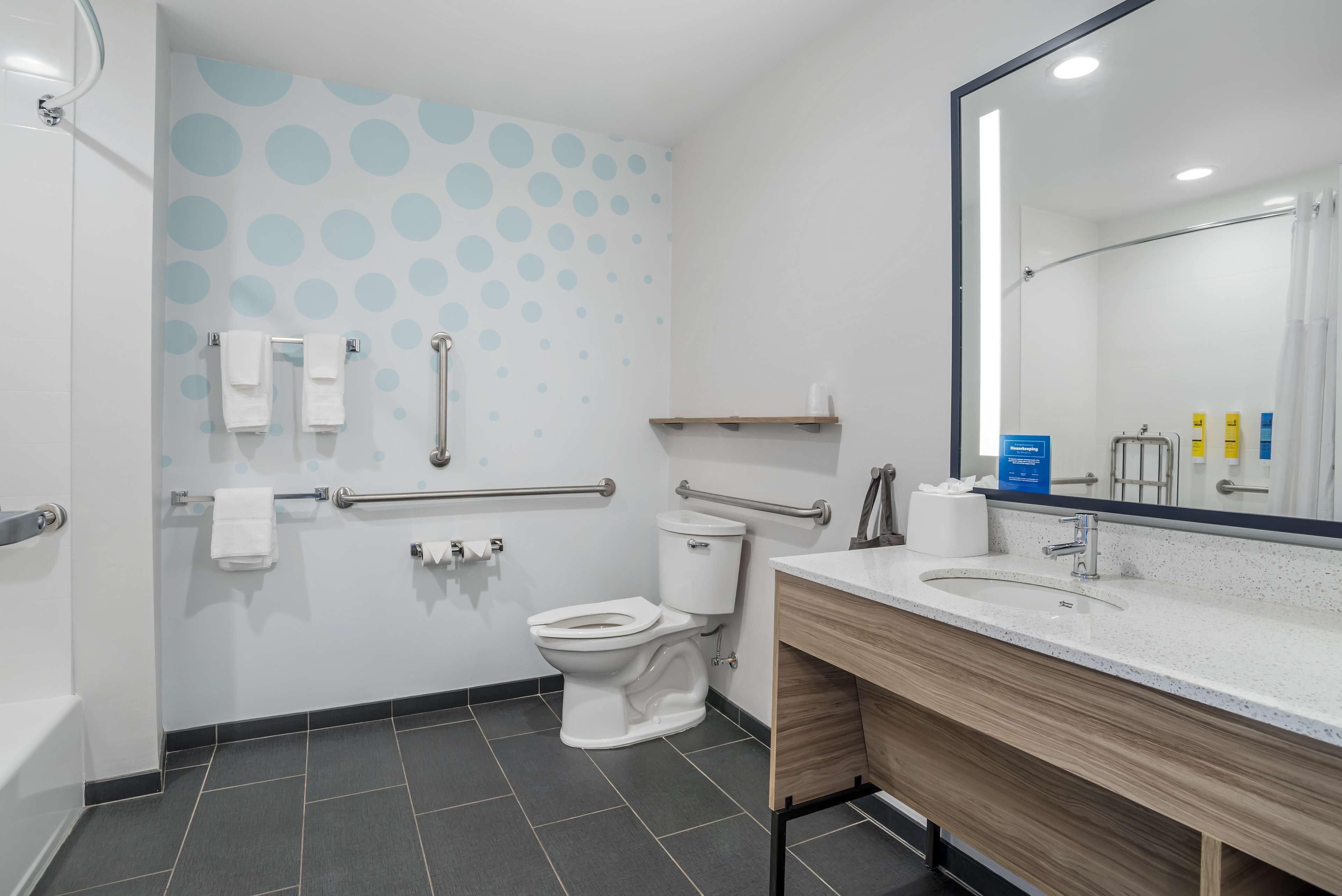 A modern bathroom with a toilet, handrails, a sink, and a mirror.
