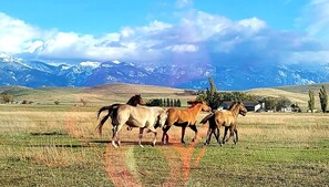Property grounds - RV SITE ONLY Home on the Ranch (Polson)