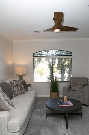 Smart TV, fireplace, books