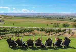 A group of people seated on lawn chairs facing a vineyard.