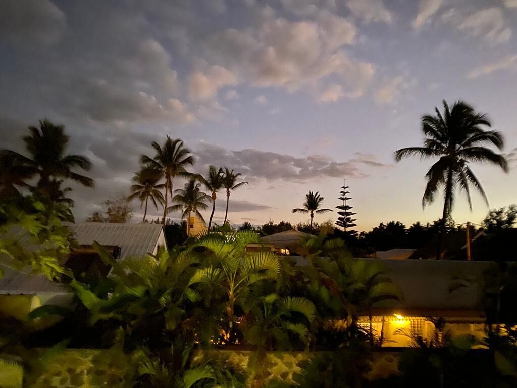 A tropical landscape with palm trees and a house with a lit-up area, possibly a bar or lounge, under a twilight sky.